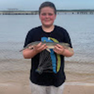 Meet your Posher, Drake